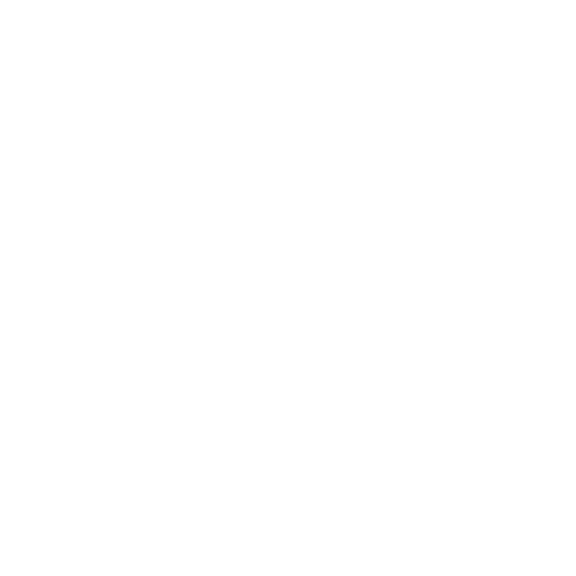 Hydraulıc Brake System